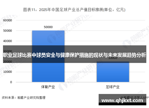 职业足球比赛中球员安全与健康保护措施的现状与未来发展趋势分析